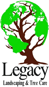 Landscaping & Tree Care
