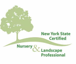 nys nursery landscape pro